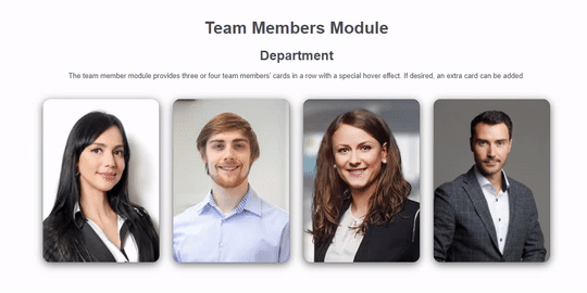 Team Members
