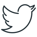 twitter icon